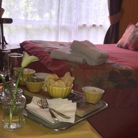 Hostal Del Muelle Valdivia Dış mekan fotoğraf