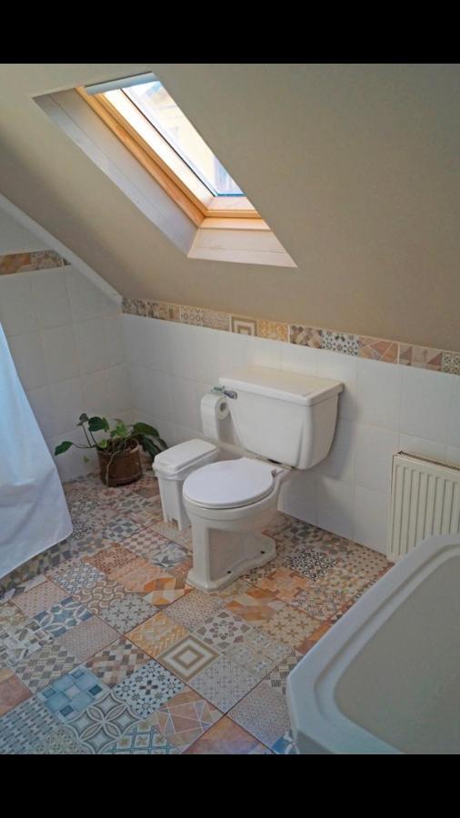 Hostal Del Muelle Valdivia Dış mekan fotoğraf